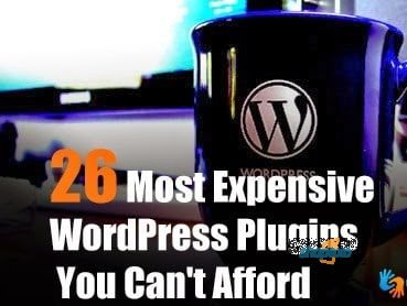 expensive wordpress plugins