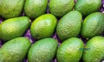 kenya's avocados