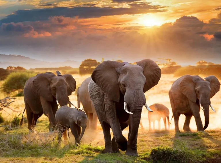 Spending Time Outdoors Linked to Better Mental HealthHealth Care Roulette